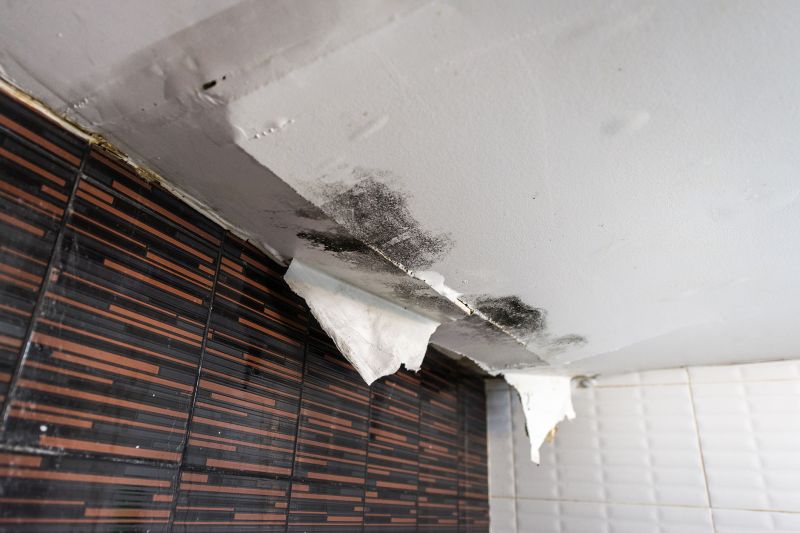 Interior Wall Damage